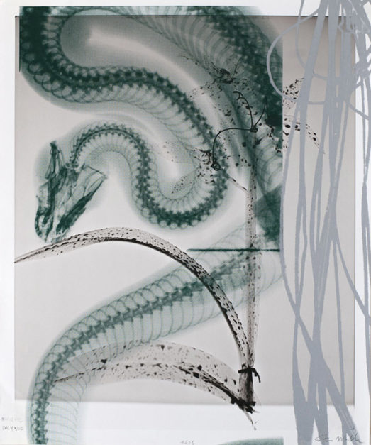 #625, December 2012, Carbon inkjet, silkscreen, 28 3/4