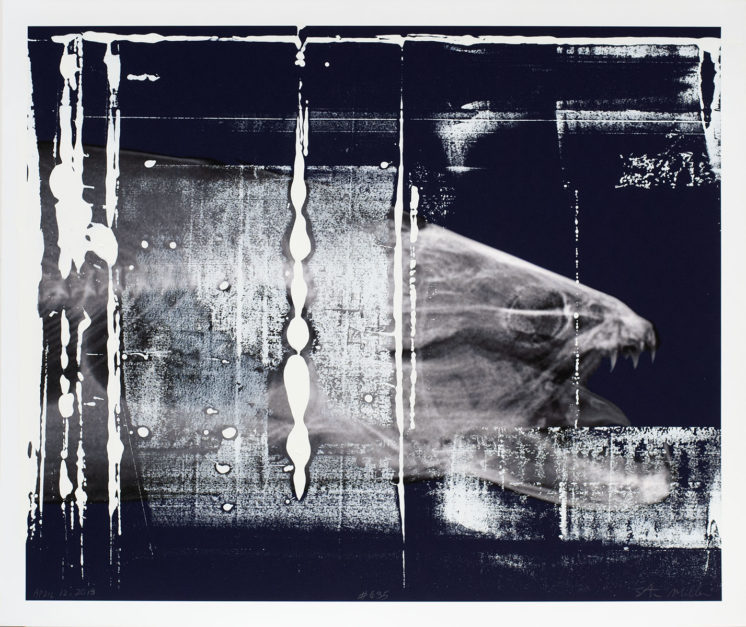 #635, April 2013, inkjet & silkscreen on paper, 24