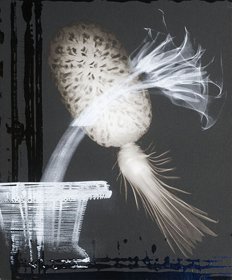 Light Threshold, July 2009, carbon inkjet, acrylic and silkscreen on canvas, 26 1/4