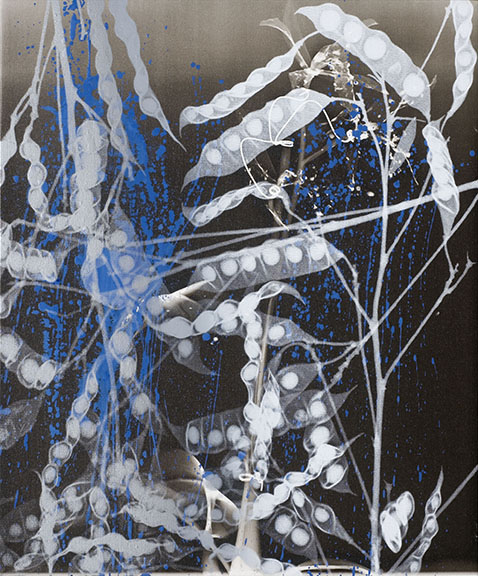Purely Local Conditions, July 2009, carbon inkjet, acrylic and silkscreen on canvas, 26 1/4
