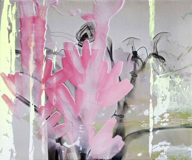 Mown into a Softness, 2009. carbon print, acrylic and. silk-screen on canvas. 24 x 26.5 inches. Howard Yezerski Gallery.