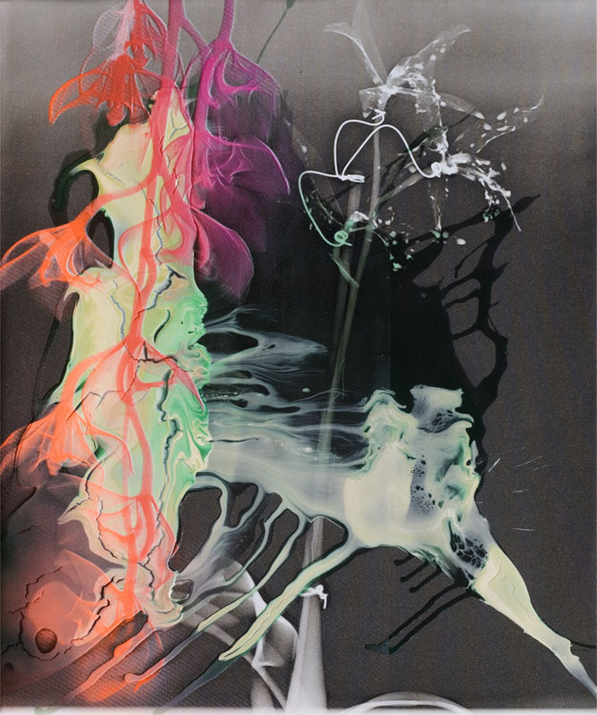 Botanically Ambidextrous, 2009. carbon print, acrylic and silk-screen on canvas. 26.5 x 24 inches.