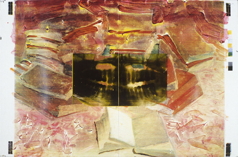 Simon Lane, 1993. acrylic, silk-screen on paper. 40 x 60 inches, 102 x 153 cm. 