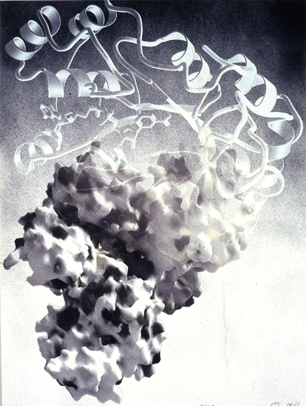 Protein #224, 2002. 40x30 inches, 102x76 cm. spray enamel, silk-screen on paper.