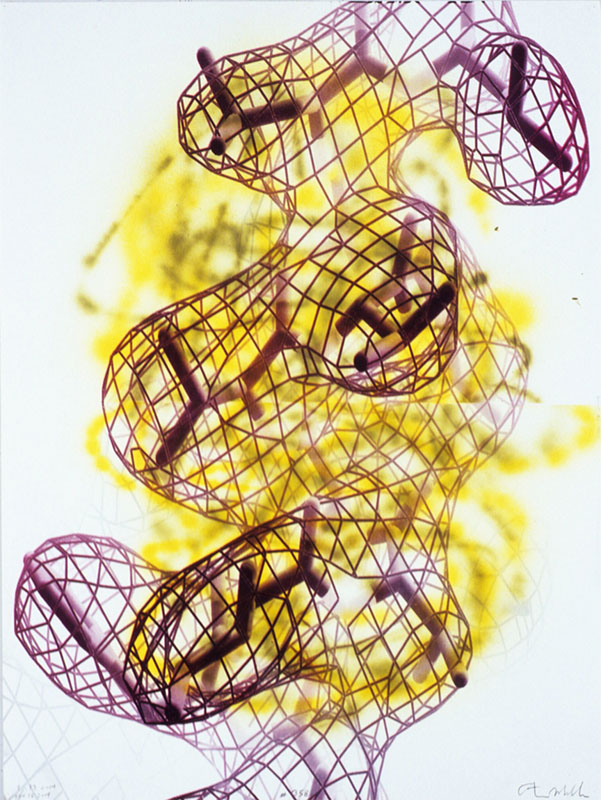 Protein #358, 2004. 40x30 inches, 102x76 cm. spray enamel, silk-screen on paper. collection Nancy and Jeff Matthews, Connecticut.