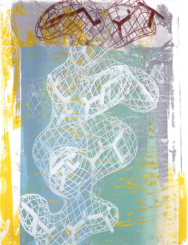Protein #445, 2005. 50x38 inches, 127x97 cm. enamel, silk-screen on paper.