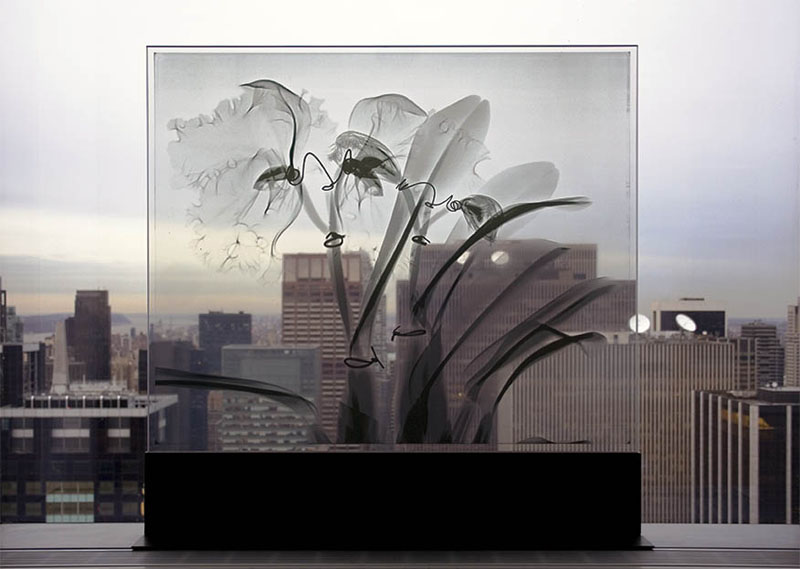 Glass, Times Square, 2009, steel and jet spray on glass, 32.5 x 32 x 6 inches, Private Collection
