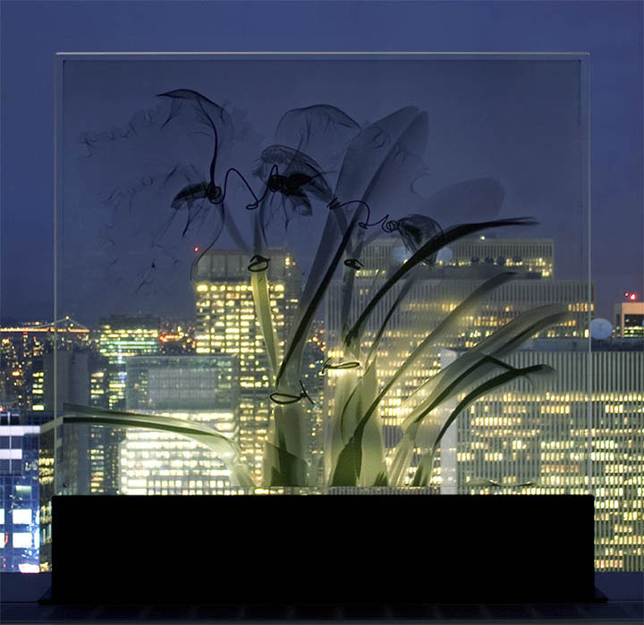 Glass, Times Square, 2009, steel and jet spray on glass, 32.5 x 32 x 6 inches, Private Collection