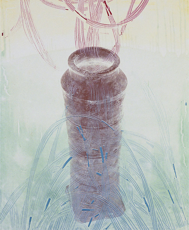 Impact Player, 2001. pigment dispersion and. silk-screen on canvas. 44.5 x 36.5 inches, 114 x 93 cm.