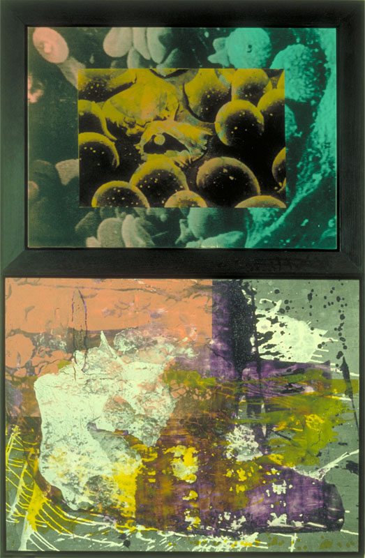 Selection Choice Anxiety, 1990. acrylic and silk-screen on canvas. 81.5 x 53 inches, 207 x 135 cm.