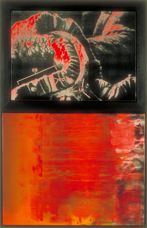 Hungry Armature of Addiction 1989. acrylic and silk-screen on canvas. 82 x 53 inches, 208 x 135 cm.