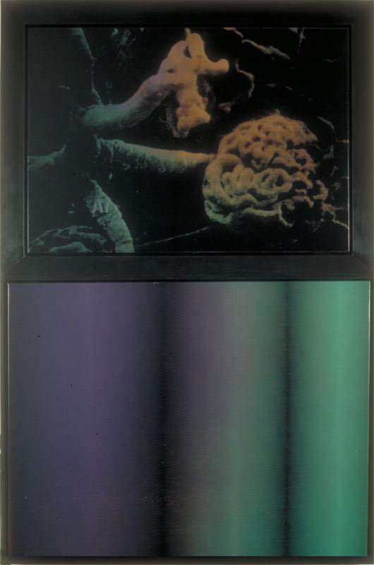 Factory Custom, 1988. acrylic and silk-screen on canvas. 81.5 x 53 inches, 207 x 135 cm