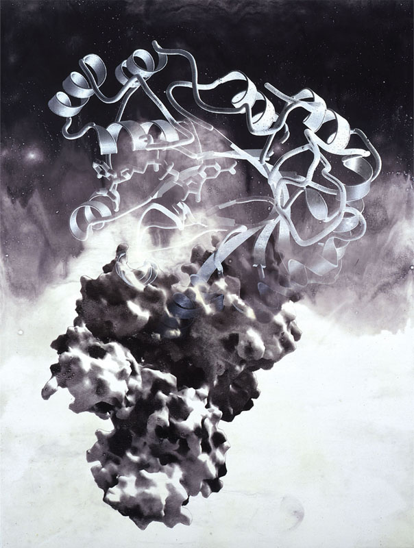 Signal Relay, 2003. pigment dispersion and silk-screen on canvas, 50 x 37.5 inches, 127 x 96 cm.