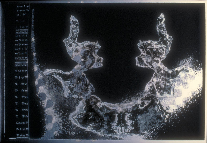 Parapraxis, 1986. oil and silk-screen on canvas 21.5x34 inches, 55x86 cm, collection Lisa Phillips, New York.