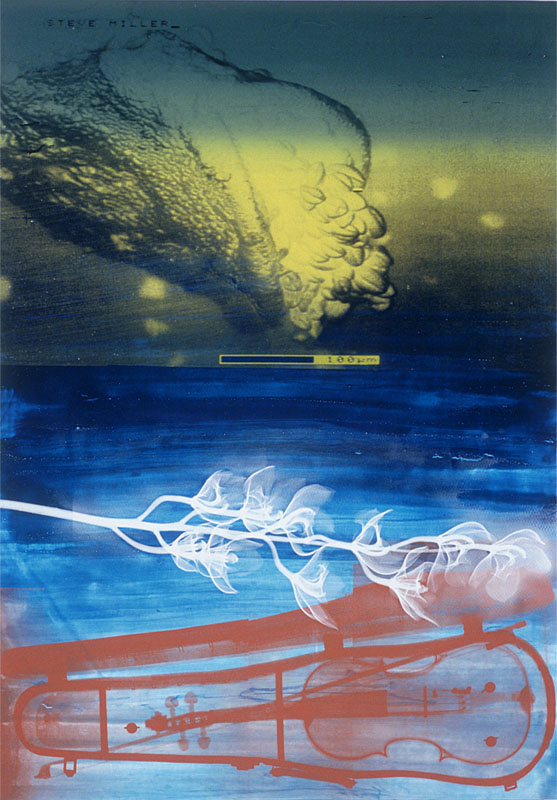 Body Music, 2000. pigment dispersion and silk-screen on canvas. 56 X 39 inches, 142 x 99 cm.