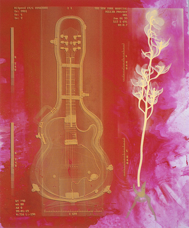 Media Trained, 2000. pigment dispersion and silk-screen on canvas. 62.5 x 52 inches, 159 x 132 cm.
