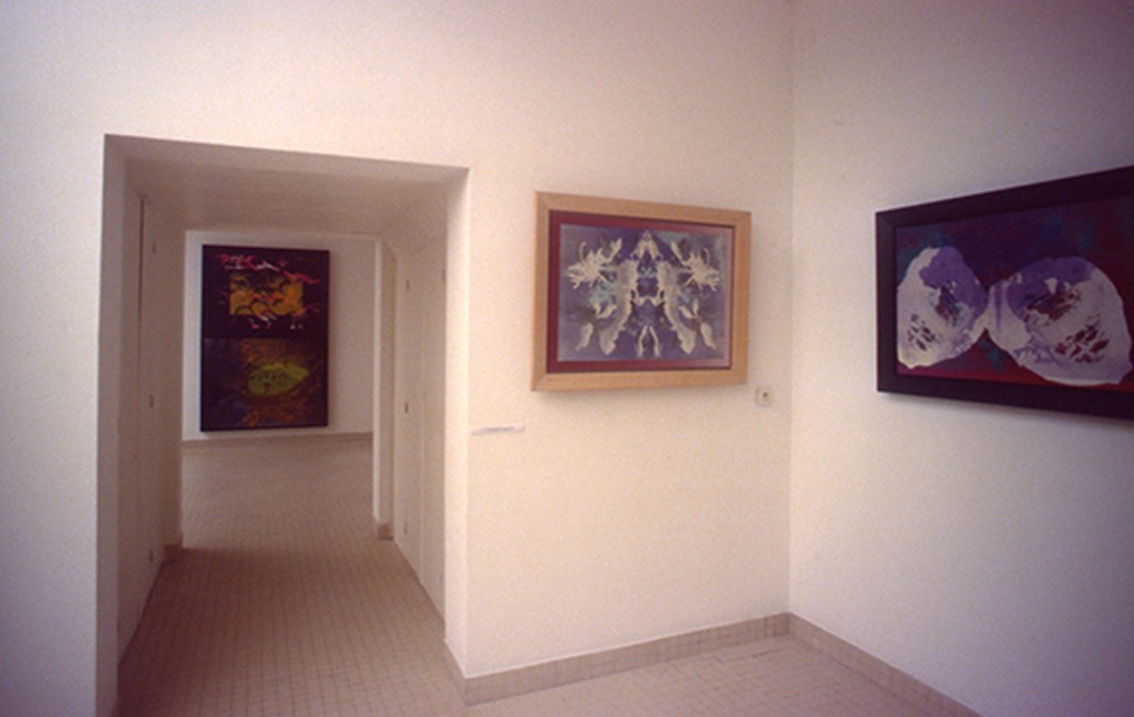 Espace D’Art Brenne, Installation View