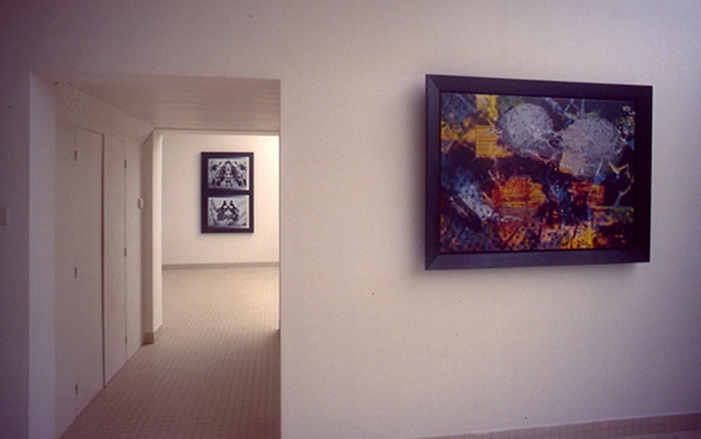 Espace D’Art Brenne, Installation View