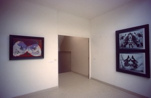Espace D’Art Brenne, Installation View