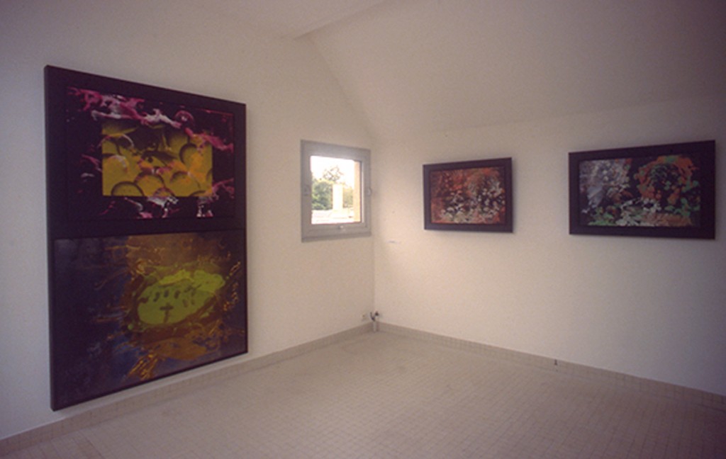 Espace D’Art Brenne, Installation View