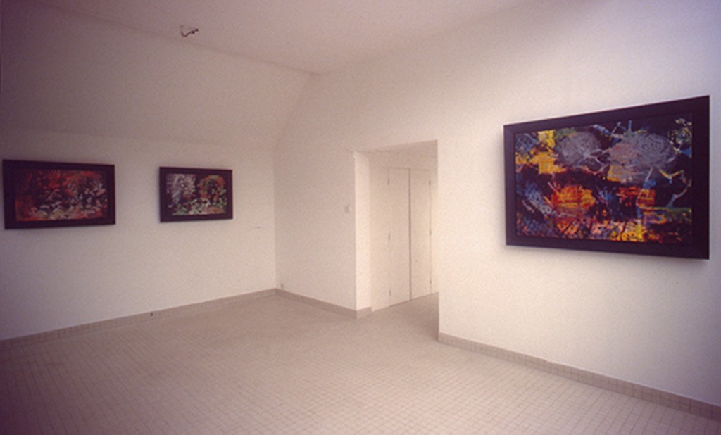 Espace D’Art Brenne, Installation View