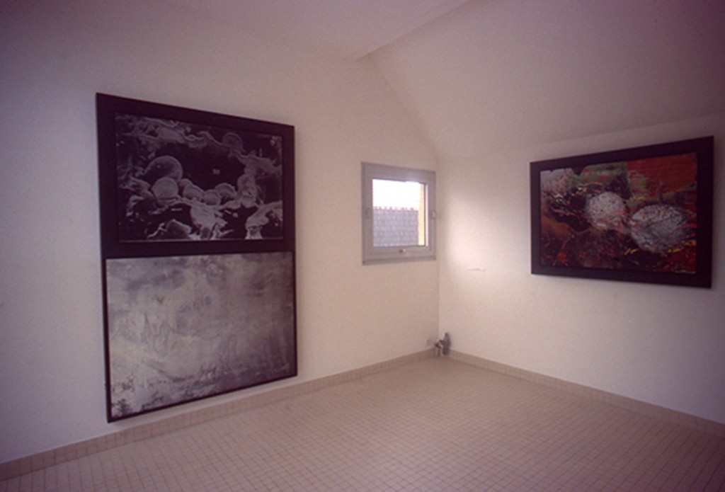 Espace D’Art Brenne, Installation View