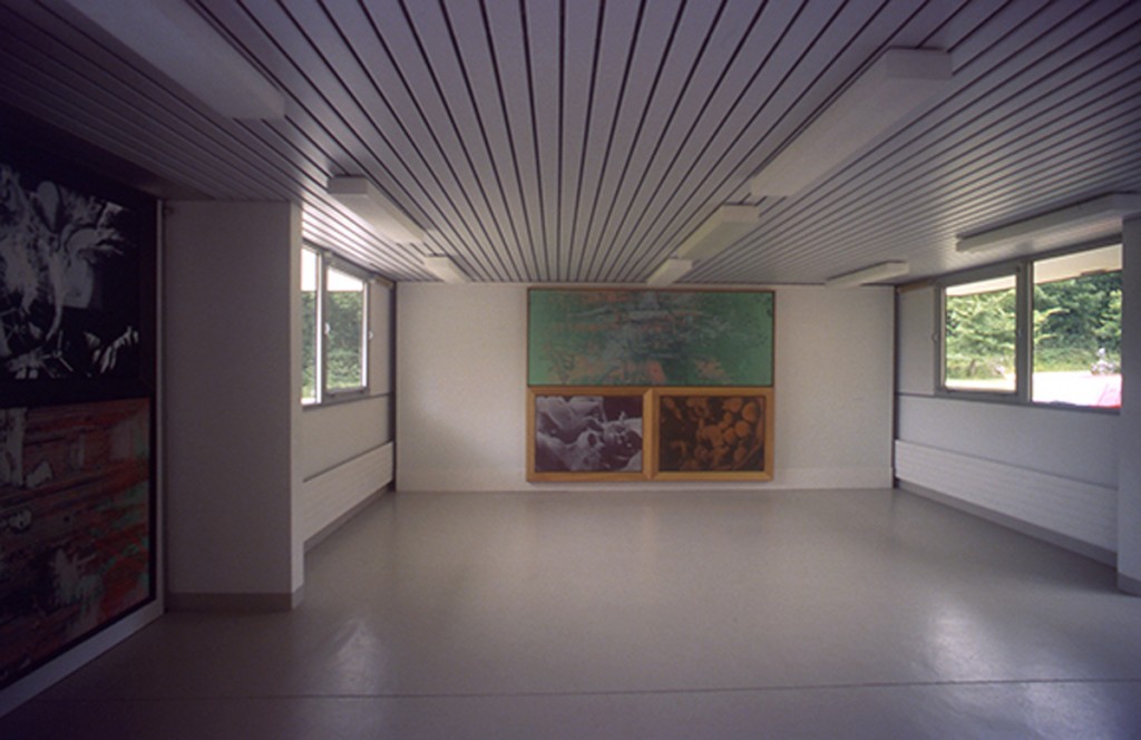 Espace D’Art Brenne, Installation View