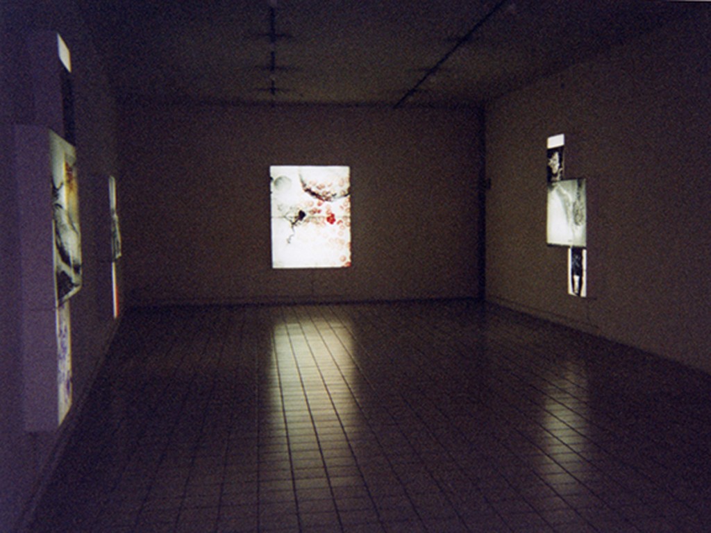 CAPC Musée Bordeaux, Galerie Pour la Vie. Installation View.