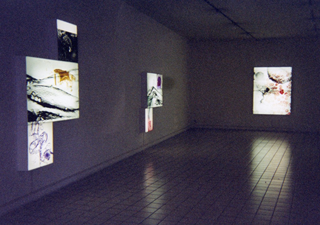 CAPC Musée Bordeaux, Galerie Pour la Vie. Installation View.