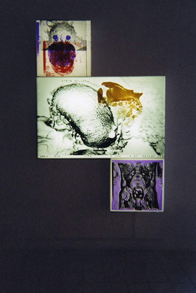 CAPC Musée Bordeaux, Galerie Pour la Vie. Installation View.