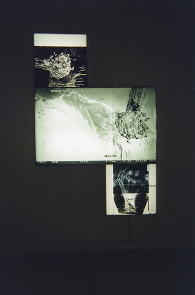 CAPC Musée Bordeaux, Galerie Pour la Vie. Installation View.