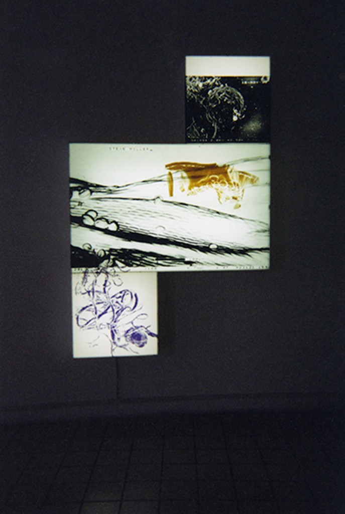 CAPC Musée Bordeaux, Galerie Pour la Vie. Installation View.