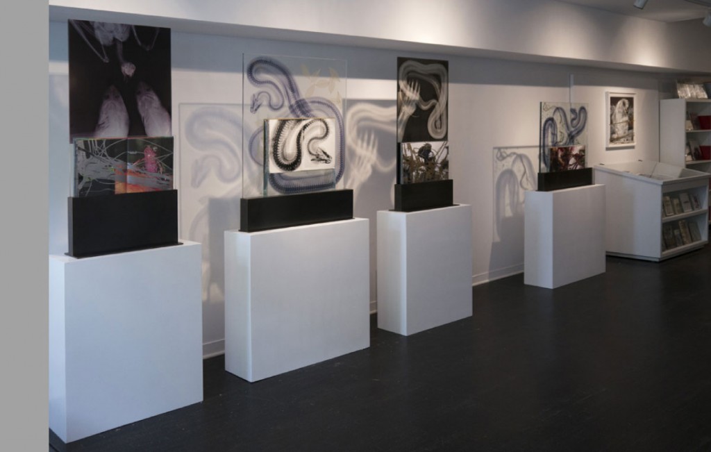 Steve Miller, Harper's Books Solo Exhibition. Installation View.