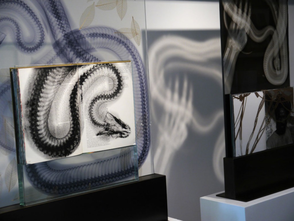 Steve Miller, Harper's Books Solo Exhibition. Installation View.