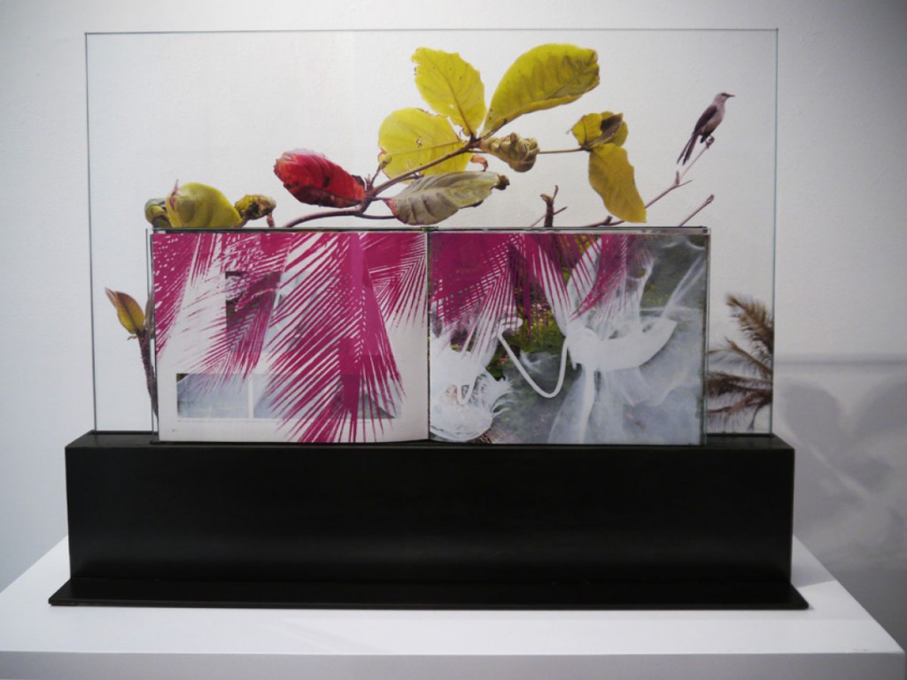 Steve Miller, Harper's Books Solo Exhibition. Installation View.