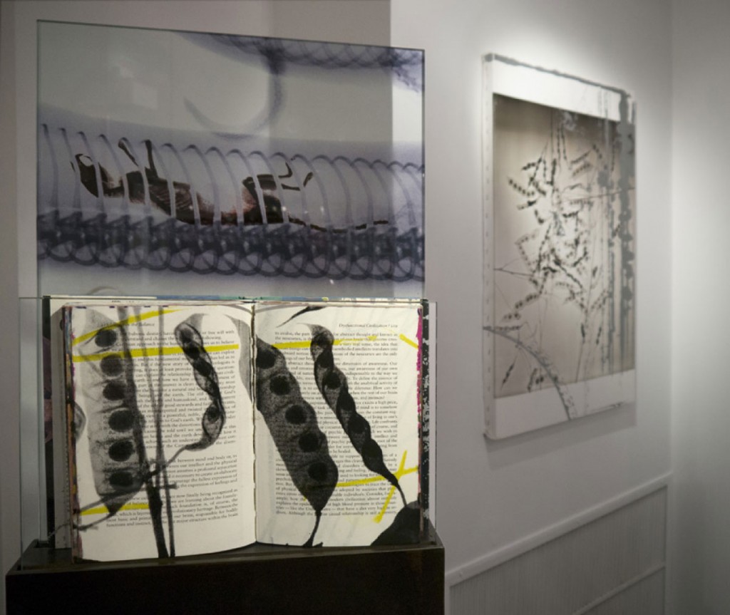 Steve Miller, Harper's Books Solo Exhibition. Installation View.