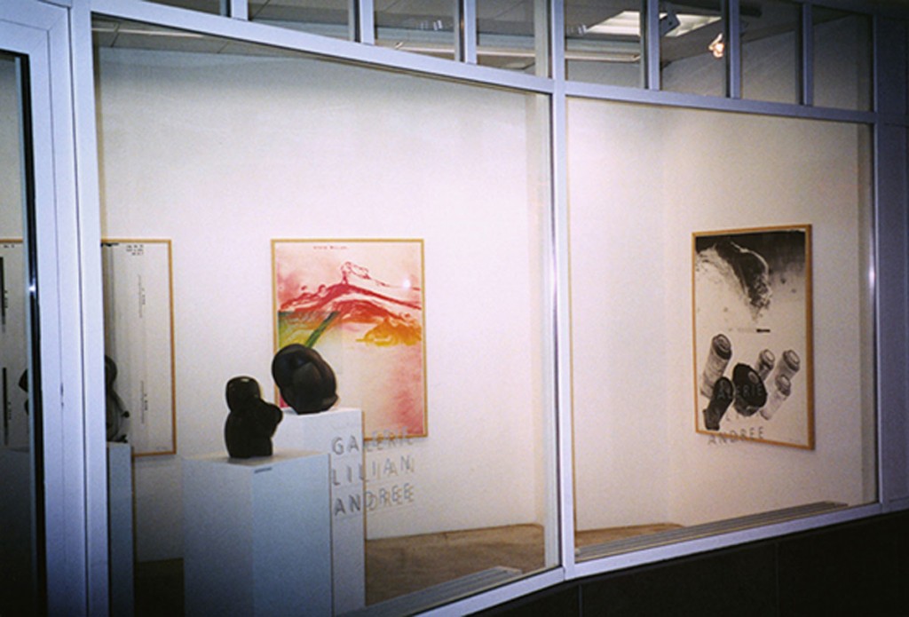 Steve Miller - Solo Exhibition: Galerie Lilian Andree, Basel, Switzerland. Installation View.