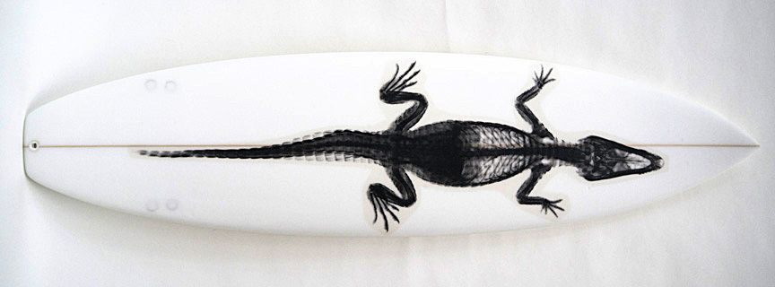 Gator Black 003, 2013 80.5" x 21"