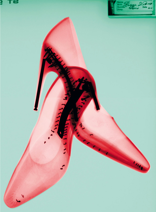 transparent roger vivier pink shoes-steve miller art