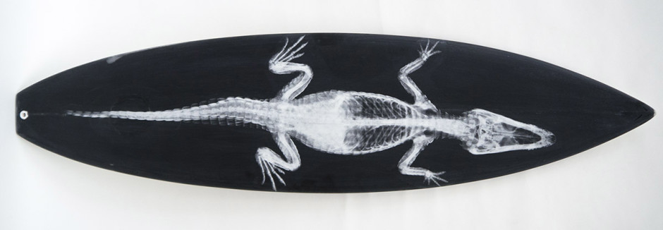 002, White Gator on Black, 2013. Square Tail Thruster, 75 x 18 inches