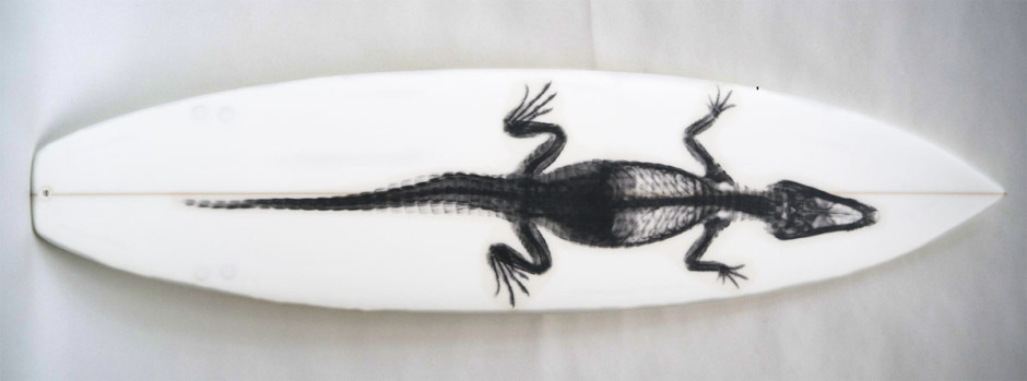 003, Gator Black On White , 2013.  Squash tail, thruster, 80.5 x 21 inches