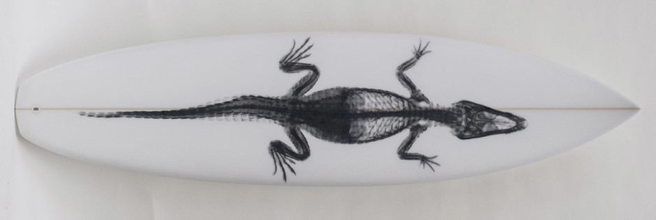 006, Black Gator on White, 2014. Diamond Tail, 81 x 20.5 inches