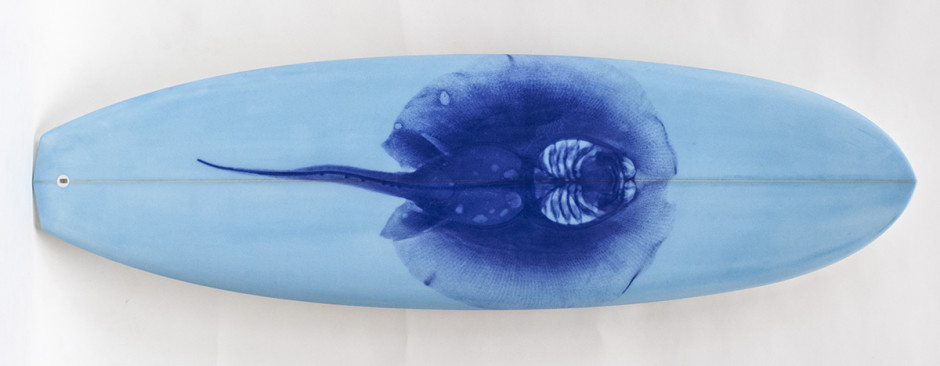 008, Purple Ray on Blue Board, 2014. Round Nose Diamond Tail Thruster,  73 x 21 inches