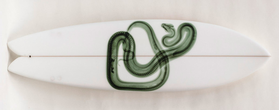018, Green Snake on White, 2014. Swallow Tail Dual Fin, 79 x 22 inches