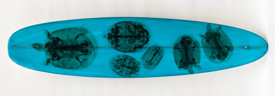 020, Green Turtles on Aqua Blue, 2014. Round Nose Single Fin, 95 x 23 inches