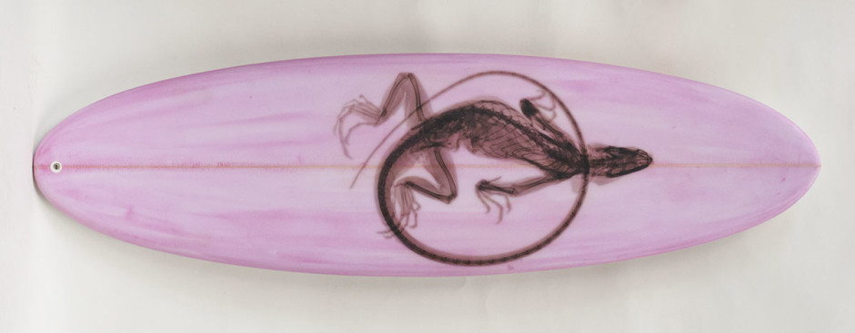 021, Brown Iguana On Pink, 2014. Short Board Round Tail, Thruster 70 1/2 x 20 inches