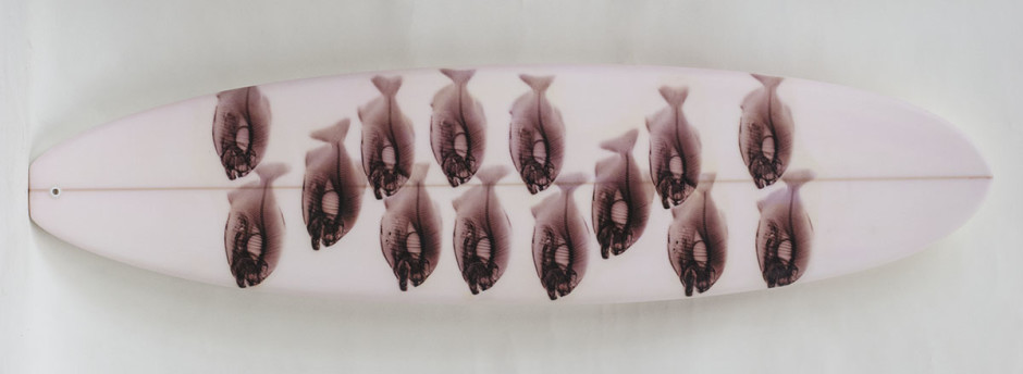 027, Red Piranha On Pale Pink, 2014. Long Board, Squash Tail, Thruster 90.5 x 23 inches