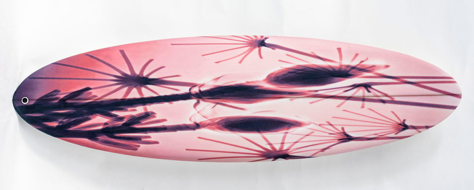 031, Fireworks on Salmon Board, 2015. Three-Fin Roundtail, 71.5 x 21 inches.