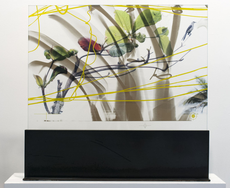 Wired Branch Manager, 2012, inkjet jet spray on laminated glass in steel base, 29 x 31 x 5 inches