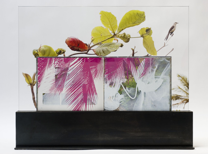Branch Manager, 2011, Silk-screened book, jet spray on laminated glass in steel base, 24.75 x 30.75 x 6 inches